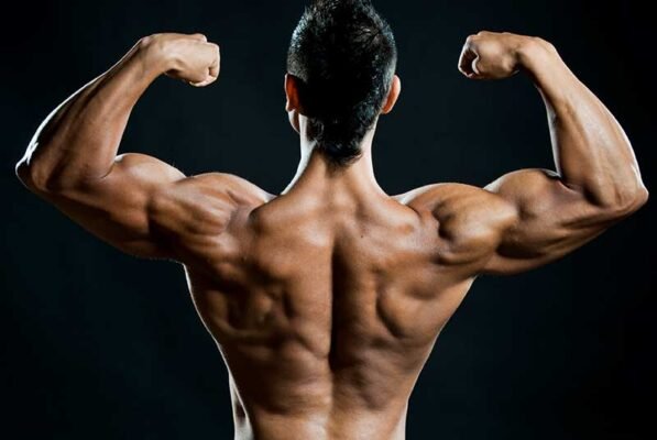 Top Steroid Stacks Discussed by UK Bodybuilders and Athletes in 2026